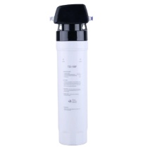 Hidrotek T33-10BF Inline Activated Carbon