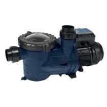 PPG Pump VS